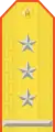 Parade uniform shoulder board (Colonel)