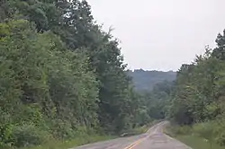 Woodland scene on County Road 851