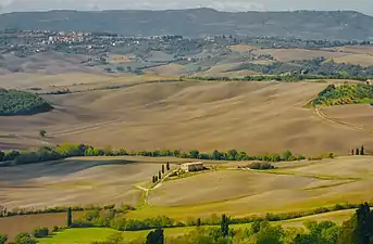 Countryside around Montepulciano