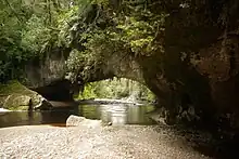 Moria Gate arch in Ōpārara Basin, Kahurangi National Park