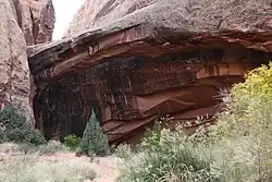 View of the arch