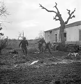 Riflemen of the 48th Highlanders of Canada take cover during a German counterattack north of San Leonardo di Ortona in the Moro River Campaign