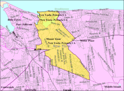 U.S. Census map