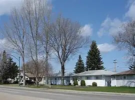 Mount Royal Streetscape