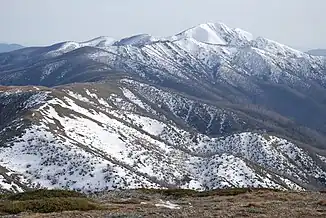 Alpine National Park, Victoria: Mount Feathertop and Razorback, spring 2007.