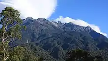 A jagged mountaintop rises above tree-clad slopes with a closer tree in the foreground.