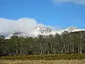 Mount Ossa, the highest mountain in Tasmania, seen from Pelion Plains