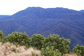 Mount Royal, photographed from Mount Cabrebald