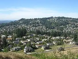 Houses cover a forested area that sits atop Mount Scott, one of the Boring Lava Field volcanic vents.