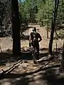 Relaxed mountain unicycling