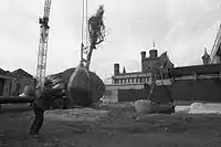 Moving Magnolia Trees for Haupt Garden