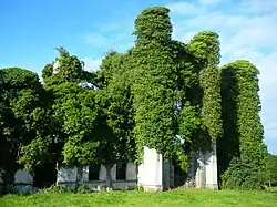 A castle ruin with climbing ivy over the main facade