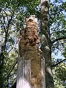 Detail of the ruins in 2010. Construction of columns: red brick & plaster.