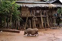 Rural Akha house