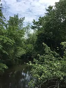 Muddy Run flowing through Parvin State Park