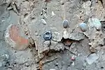 Debris flow deposit in outcrop showing free-floating large clasts suspended in a clay matrix.