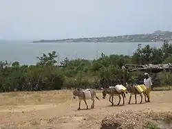 Muhuru Bay and Lake Victoria