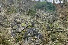 Quarry cliff face with exposed limestone