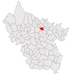 Location in Buzău County