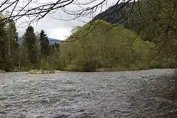 Island in the Mur River at Triebendorf