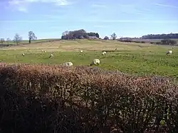 The site of the deserted village of Muscott