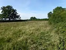 Muston Meadows