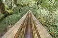 View walking on the Canopy Walkway