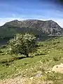 Mynydd Mawr from Cwellyn