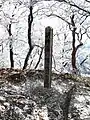 The top of Mount Myōjin (03/2009)