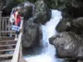 Walkway at the Myra Falls