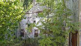 Interior of the first floor, unroofed and overgrown.