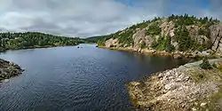 River flow toward Conception Bay