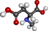 Ball and stick model of N-methyl-D-aspartic acid