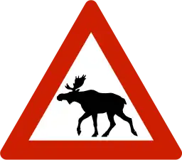 Animals (moose)Warns that moose often traverse or travel on the roads.