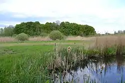 Nature reserve Dannauer See und Umgebung [de] in Dannau