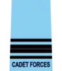 Flight Lieutenant