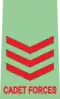 Cadet Sergeant