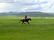 Steppe in Mongolia