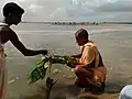 Damodar River at Shillya