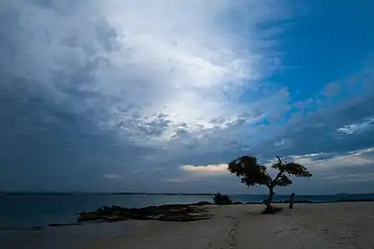 A beach in the inner bay near Nacala town