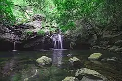 Nagalapuram Hill Streams