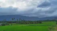 Hills from Nagercoil