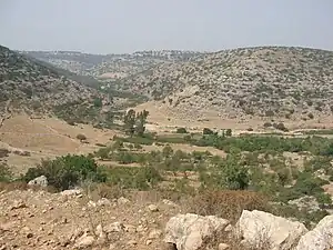 Wadi Qana