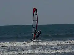 windsurfer