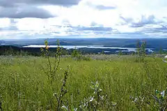 View from mount Nálluovárdduo/Nalovardo towards the river Vindelälven.