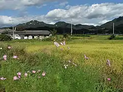 Namwon Countryside - Ibeak Myeon - 2010(4)