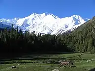 View of Nanga Parbat from Fairy Meadows