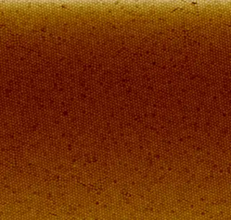 Nanoparticle coating of polystyrene nanoparticles on quartz prepared with the Langmuir-Blodgett method.