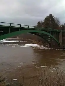 Narrowsburg–Darbytown Bridge