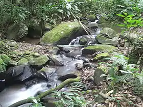 Stream on Morro do Spitzkopf